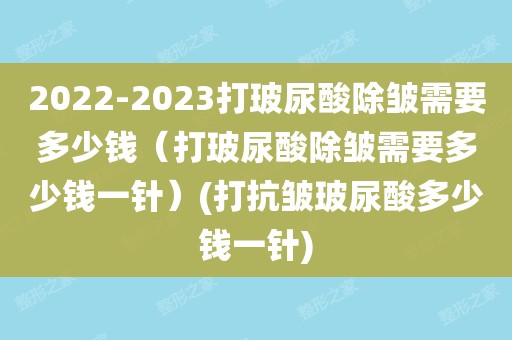 需要多少钱(打玻尿酸除皱需要多少钱一针)(打抗皱玻尿酸多少钱一针)