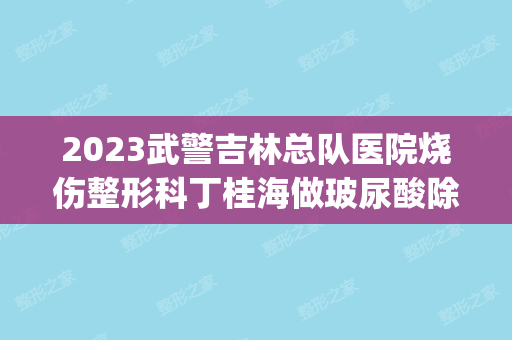 2024武警吉林总队医院烧伤整形科丁桂海做玻尿酸除皱怎么样？附医生简介|玻尿酸